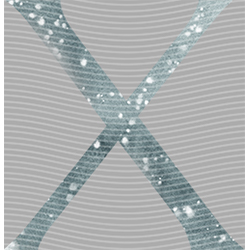 Cartoon letters-CL 509
